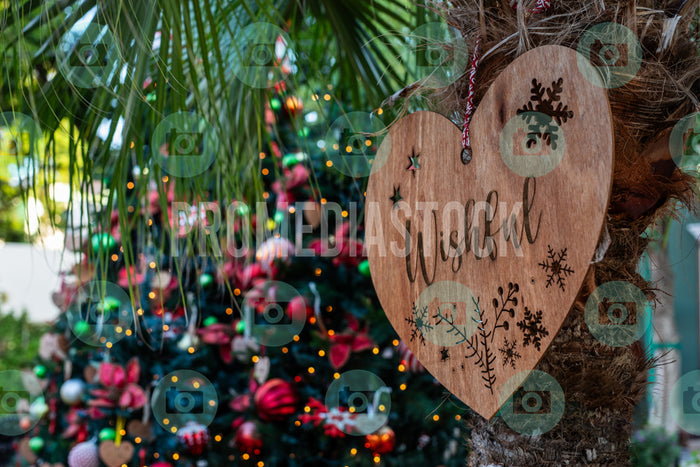 Curacao Christmas 706