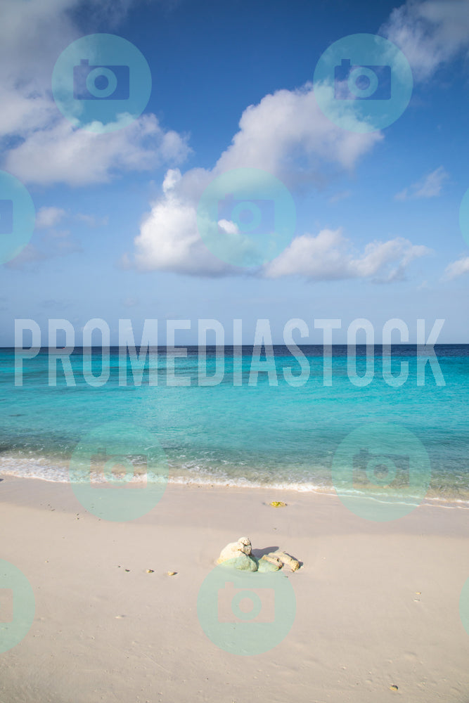 Curacao Cas Abou Beach 969