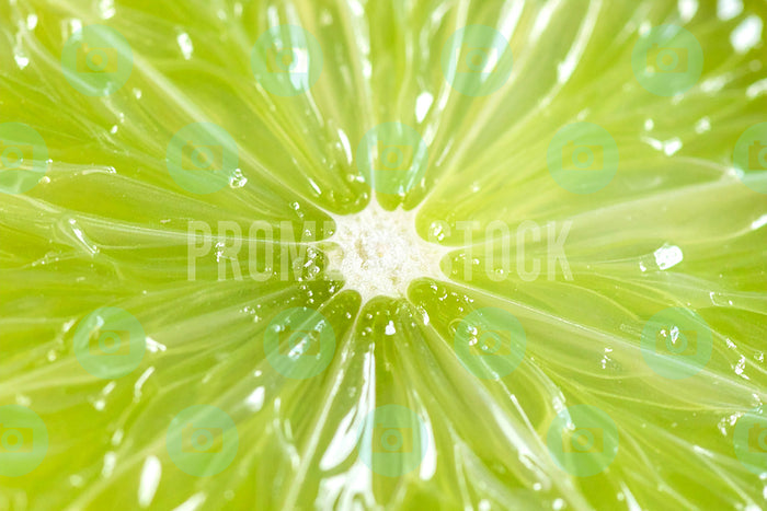 Food & Fruits Close-up 1345