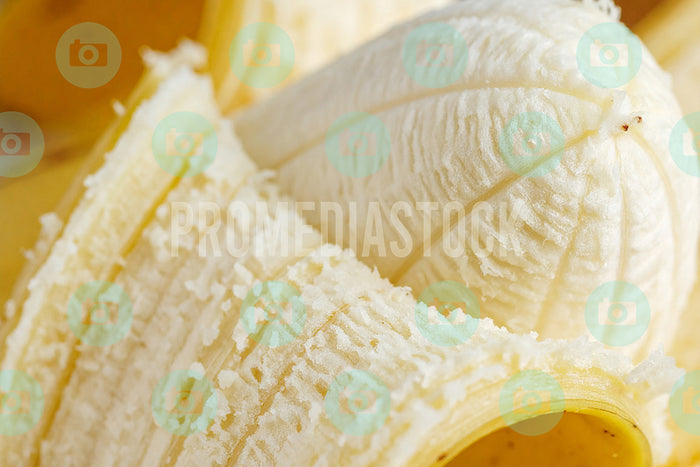 Food & Fruits Close-up 1347