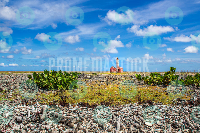 Curacao Klein Curacao 0085