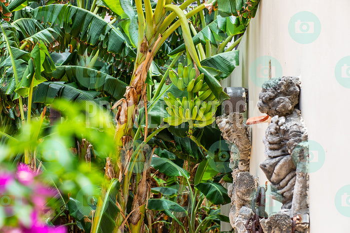 Curacao Kura Hulanda Museum 669