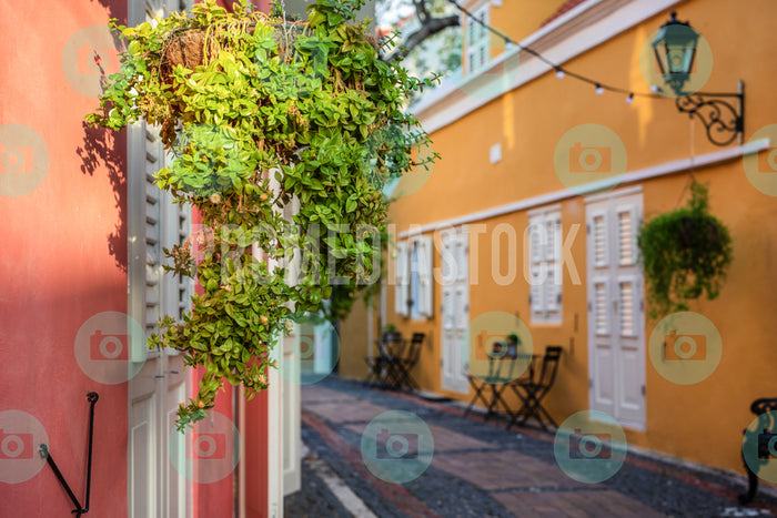 Curacao Kura Hulanda 693
