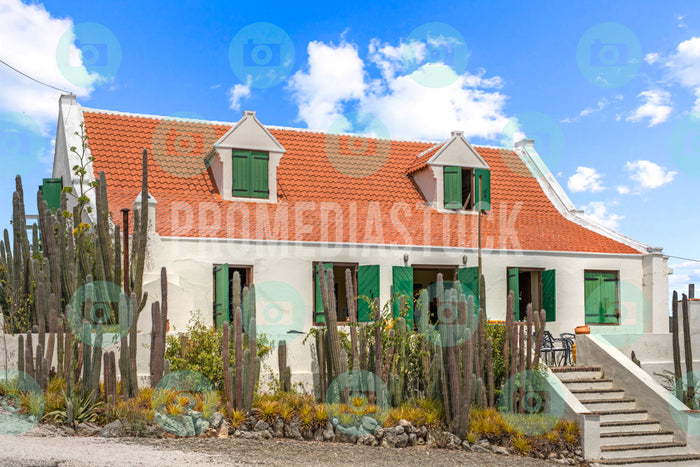 Curacao Jan Kok 715