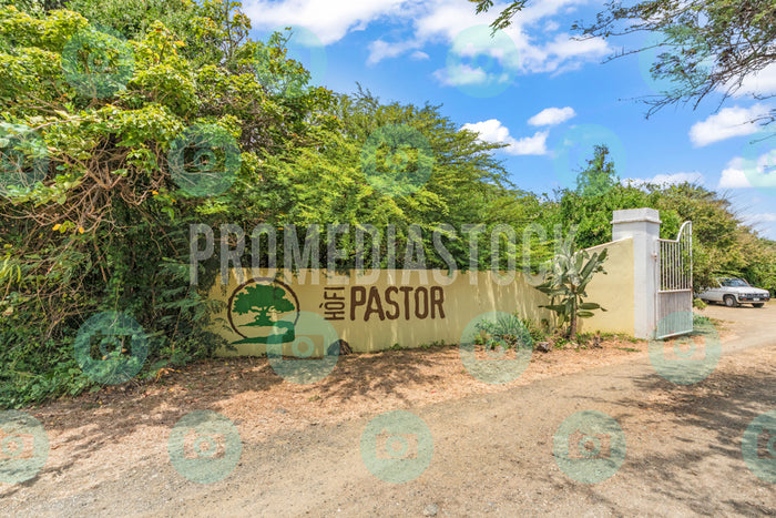 Curacao Hofi Pastor 745