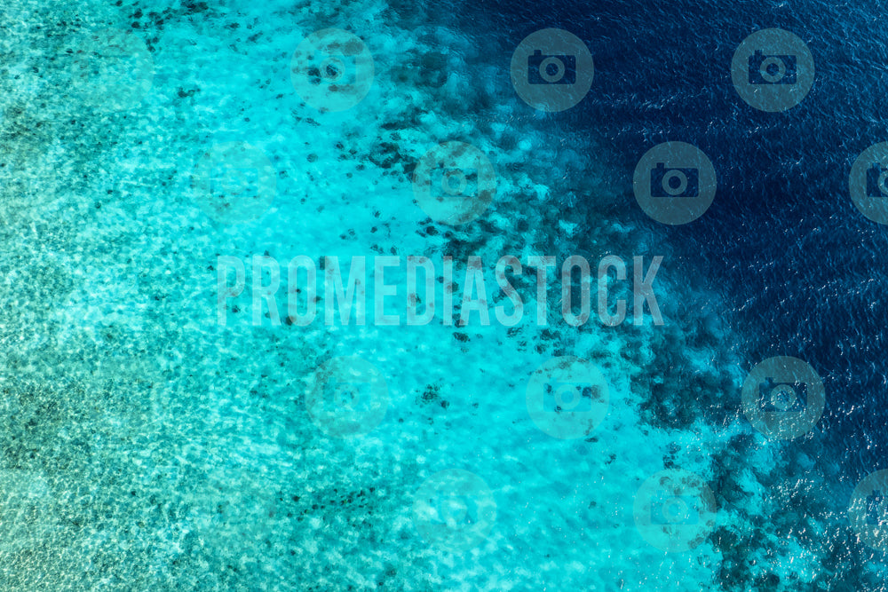 Curacao Caribbean Sea 880
