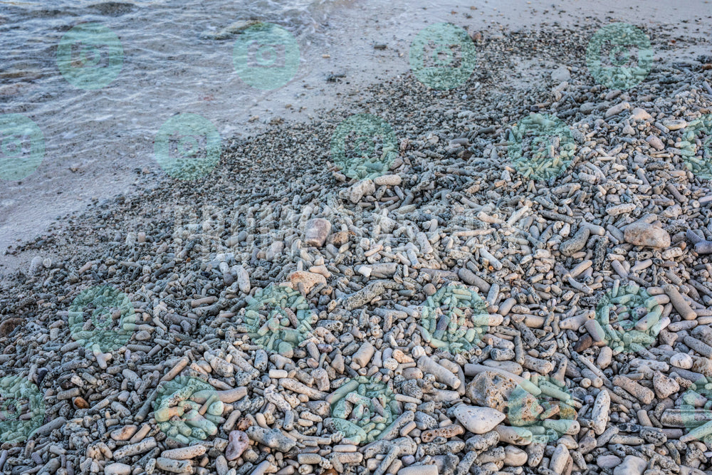 Curacao Daaibooi Beach 891