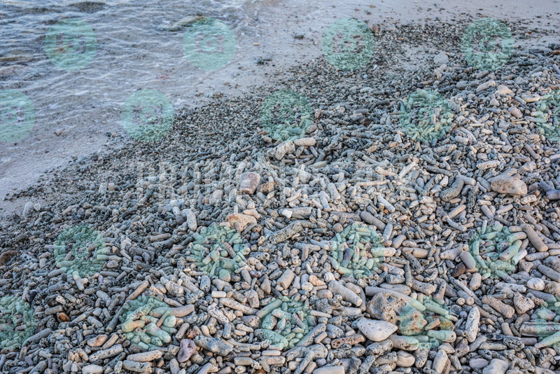 Curacao Daaibooi Beach 891