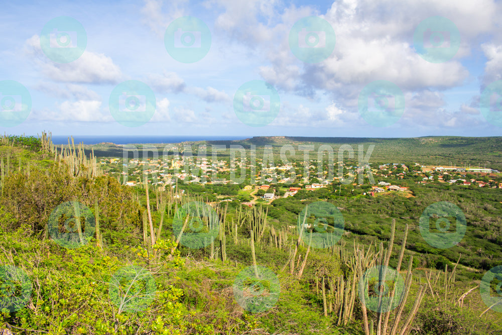 Bonaire Stock Photo Caribbean 1031