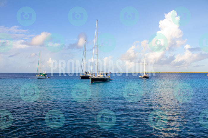 Bonaire Stock Photo Caribbean 1033