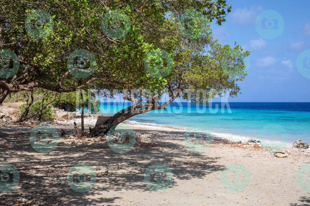 Bonaire Stock Photo Caribbean 1036