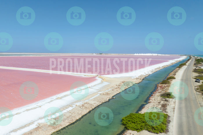 Bonaire Stock Photo Caribbean 1042