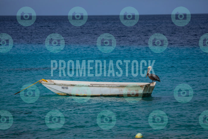 Bonaire Stock Photo Caribbean 1050