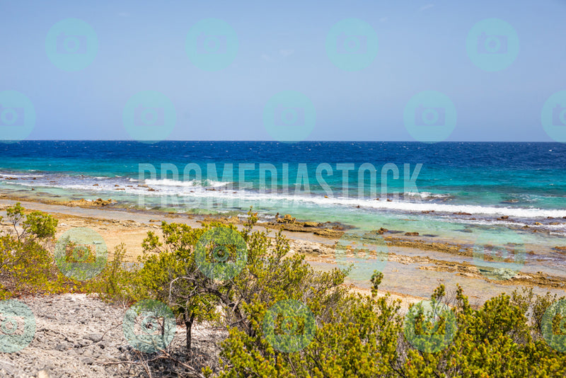 Bonaire Stock Photo Caribbean 1056