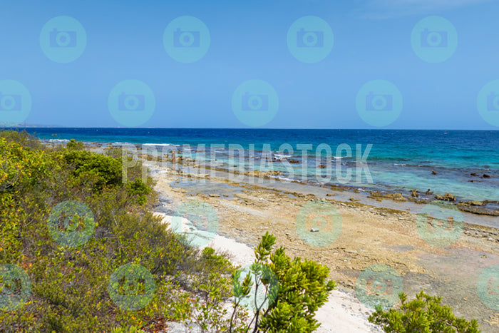 Bonaire Stock Photo Caribbean 1057