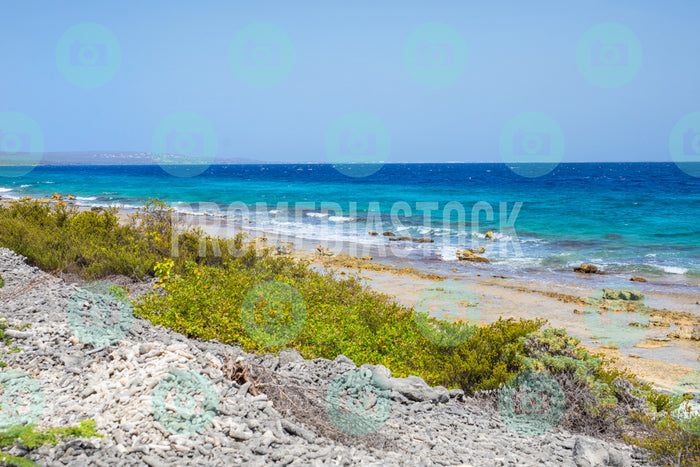 Bonaire Stock Photo Caribbean 1059