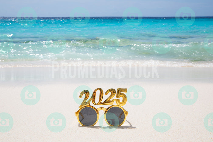 Curacao Happy New Year 1103