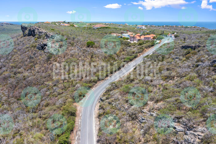 Curacao Coral Estate 1187
