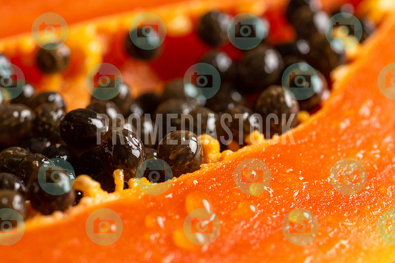 Food & Fruits Close-up 1339