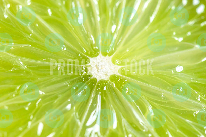Food & Fruits Close-up 1345