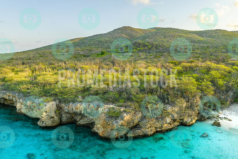 Curacao Grote Knip Beach 011