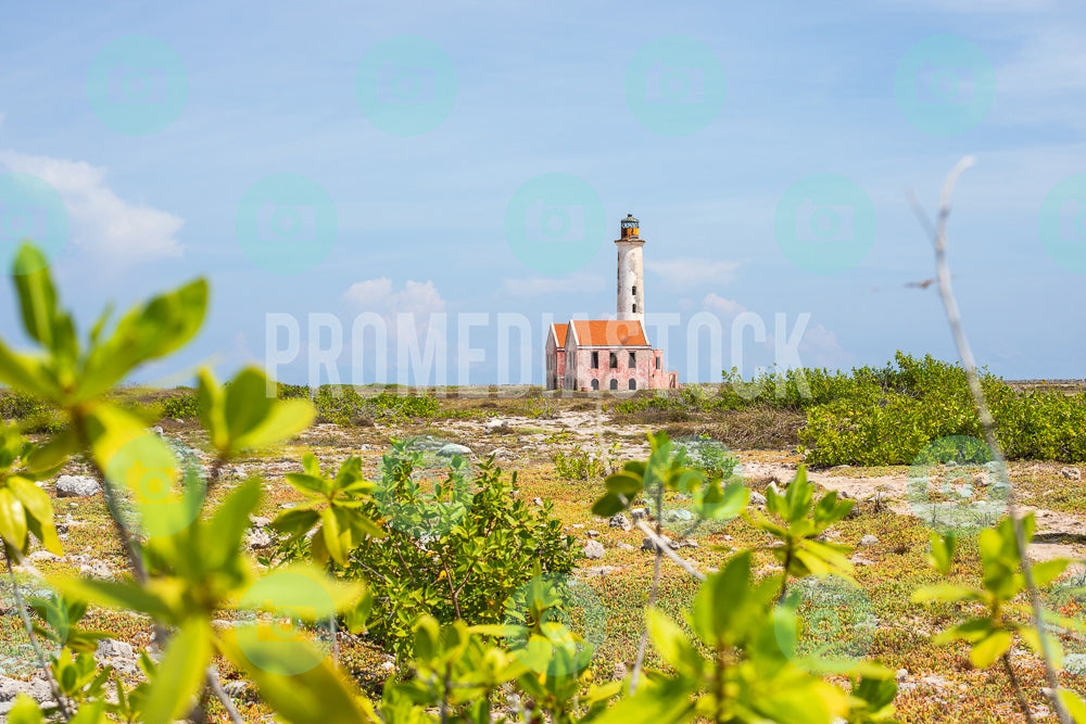 Curacao Klein Curacao 32