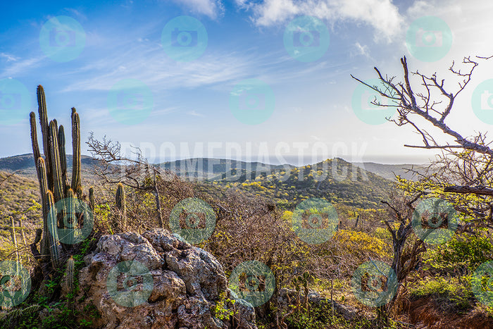 Curacao Christoffel Park 325