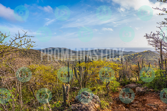 Curacao Christoffel Park 326