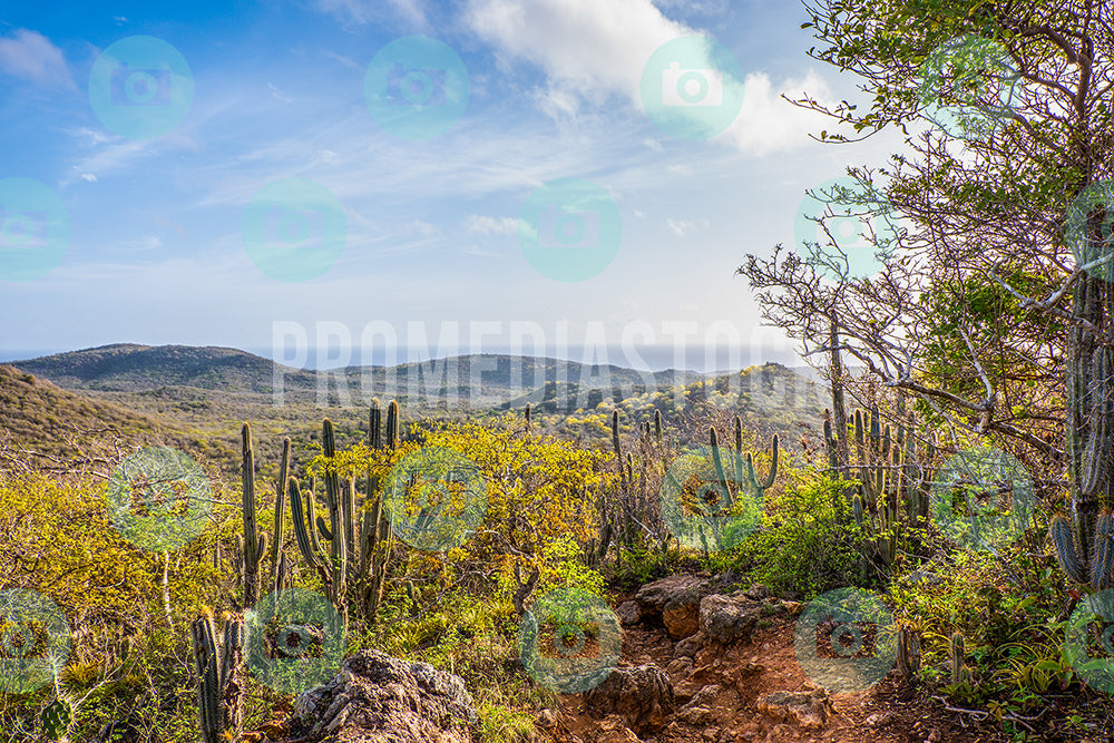 Curacao Christoffel Park 327