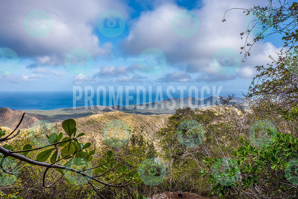 Curacao Christoffel Park 332