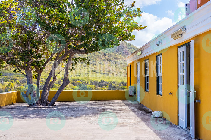 Curacao Landhuis Knip 180