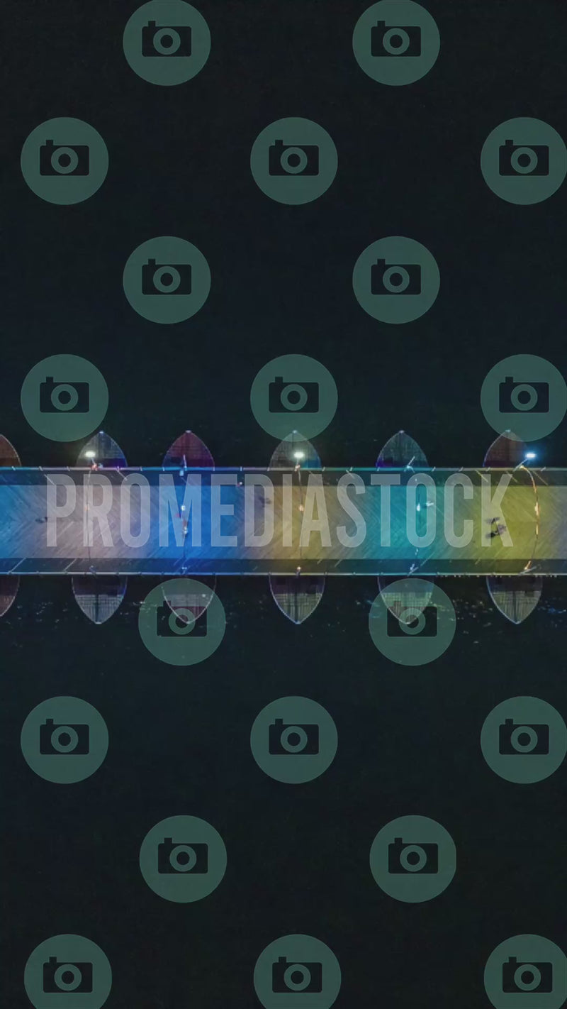 Queen Emma Bridge at Night 1373