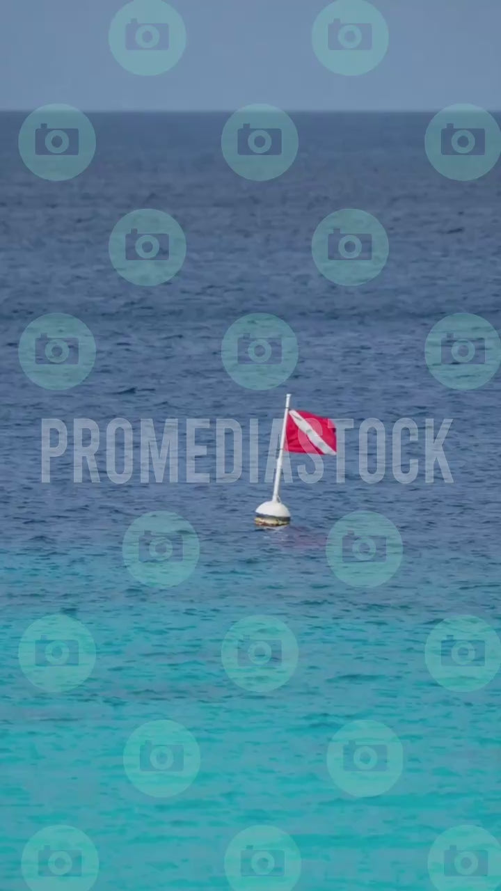 Diving Flag 1434